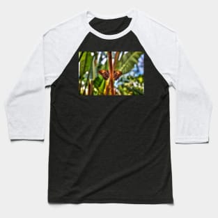 Dusky Giant Owl Butterflies Baseball T-Shirt